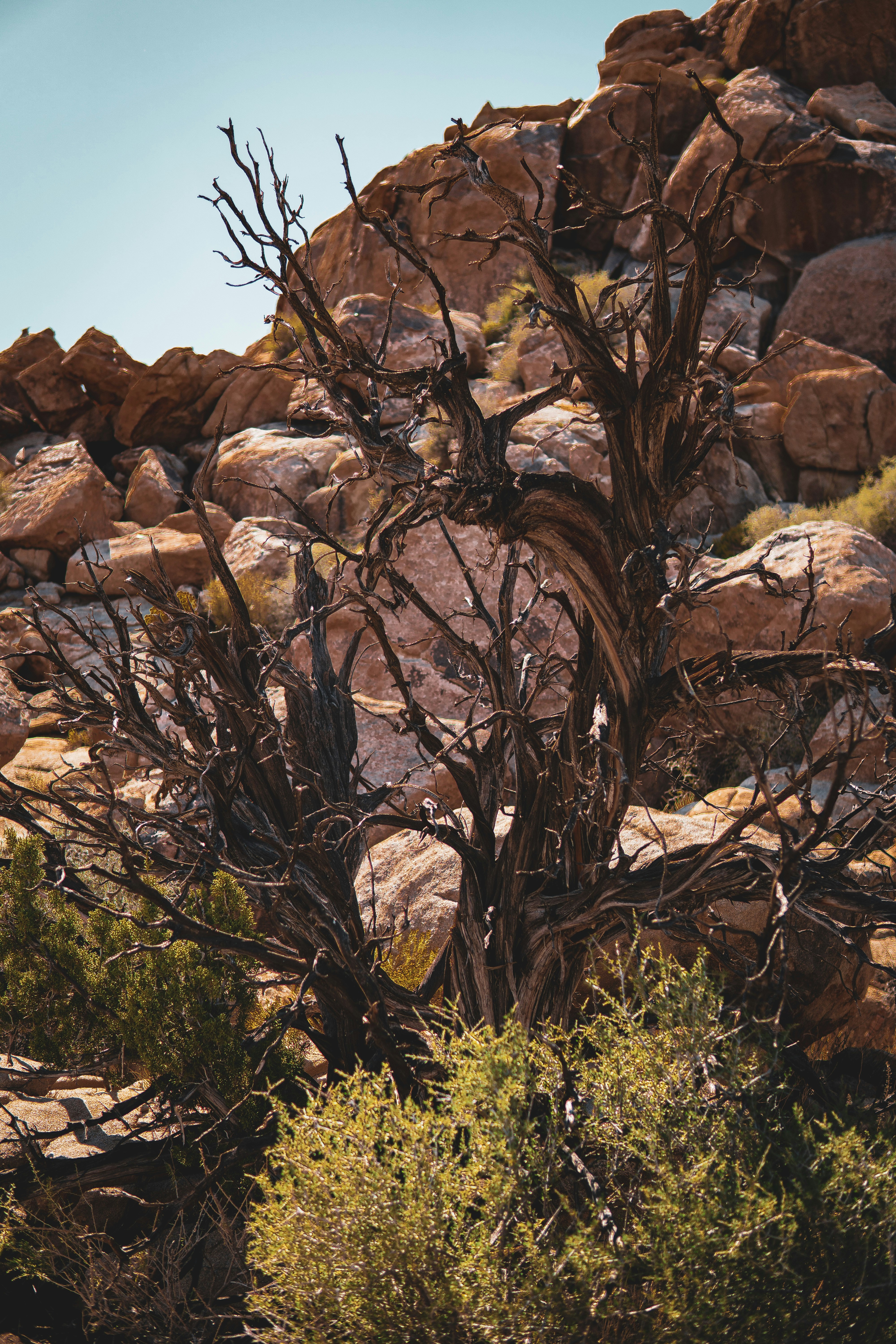 Photo by keepitchassephotography