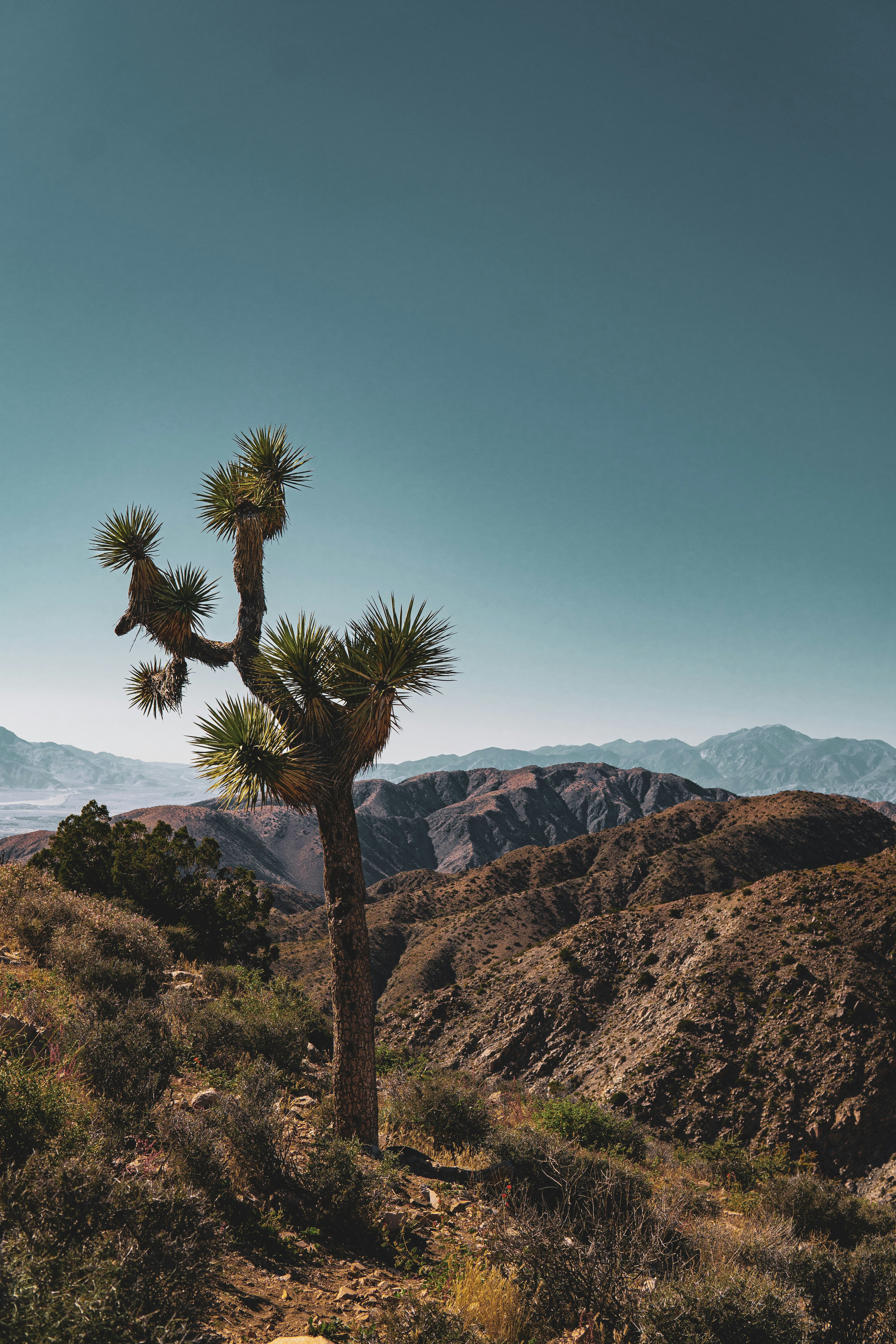 Photo by keepitchassephotography