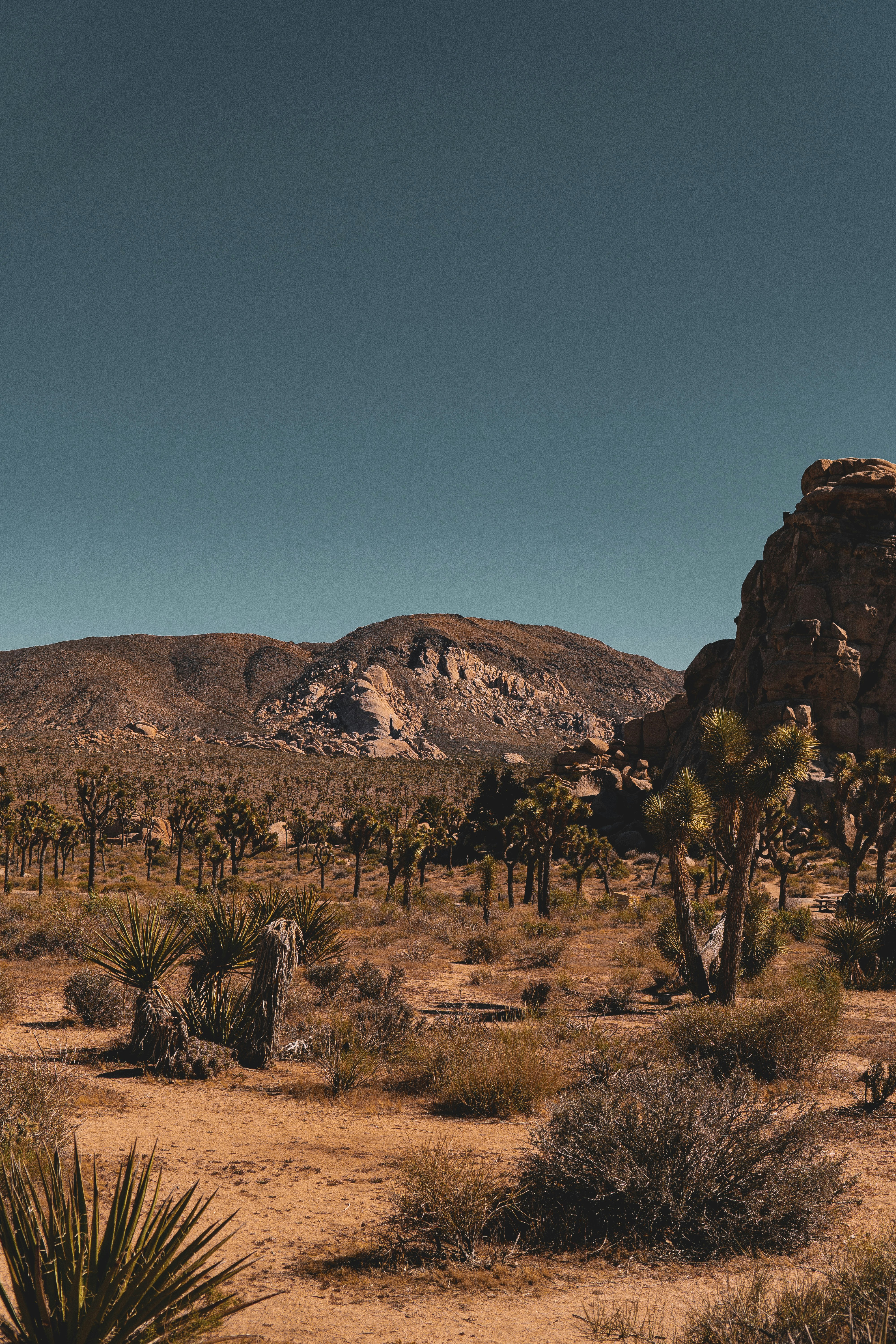 Photo by keepitchassephotography