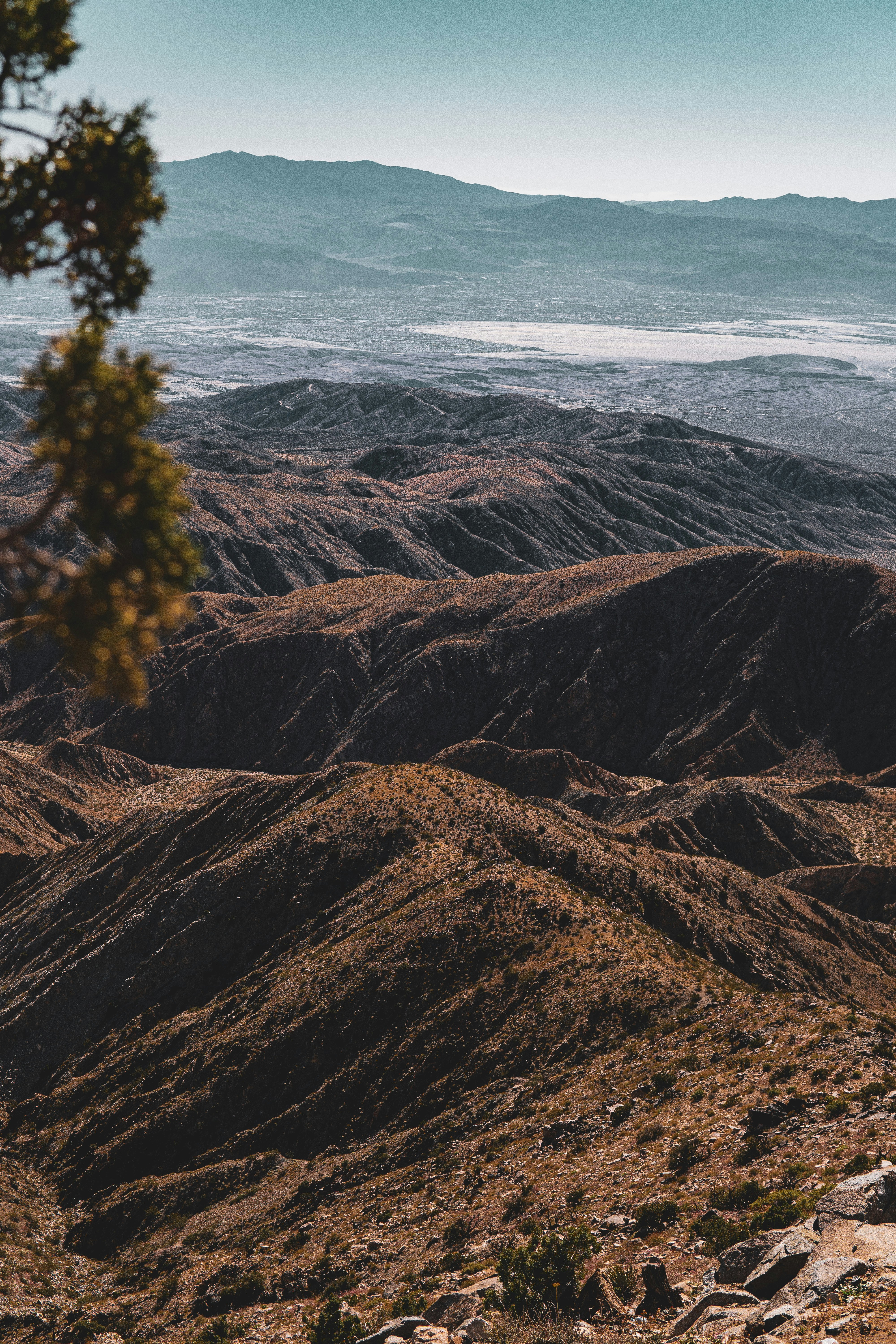 Photo by keepitchassephotography