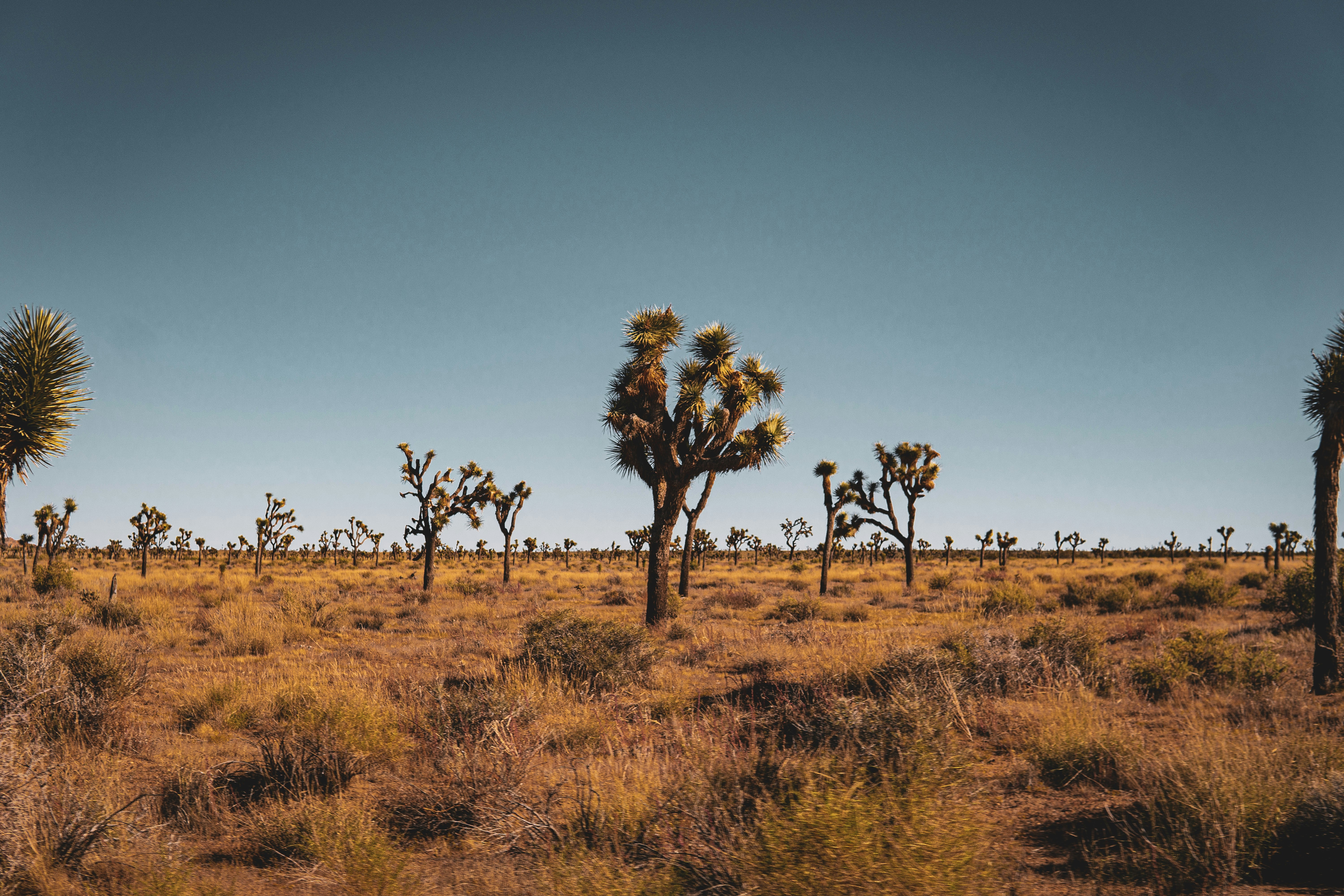 Photo by keepitchassephotography