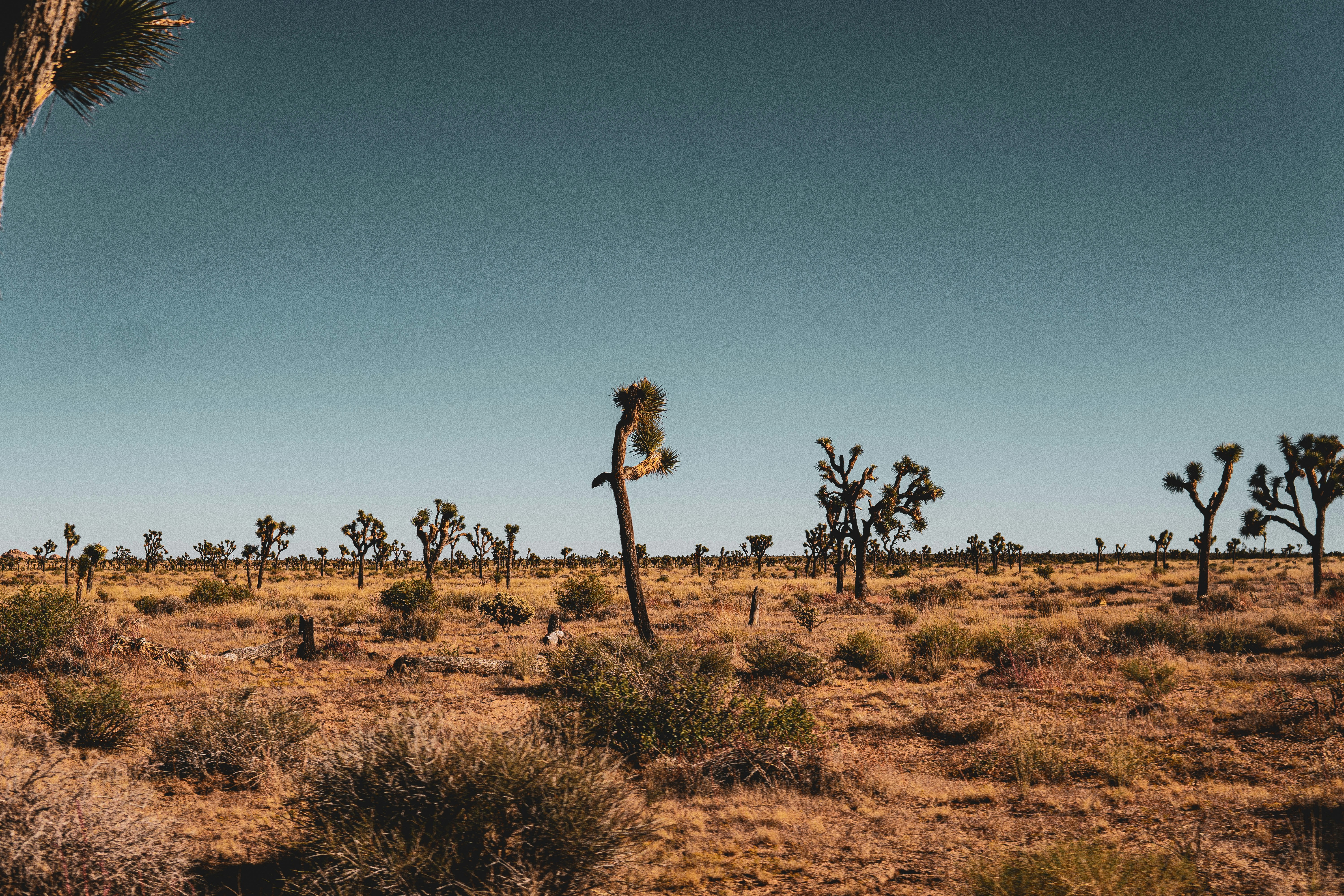 Photo by keepitchassephotography