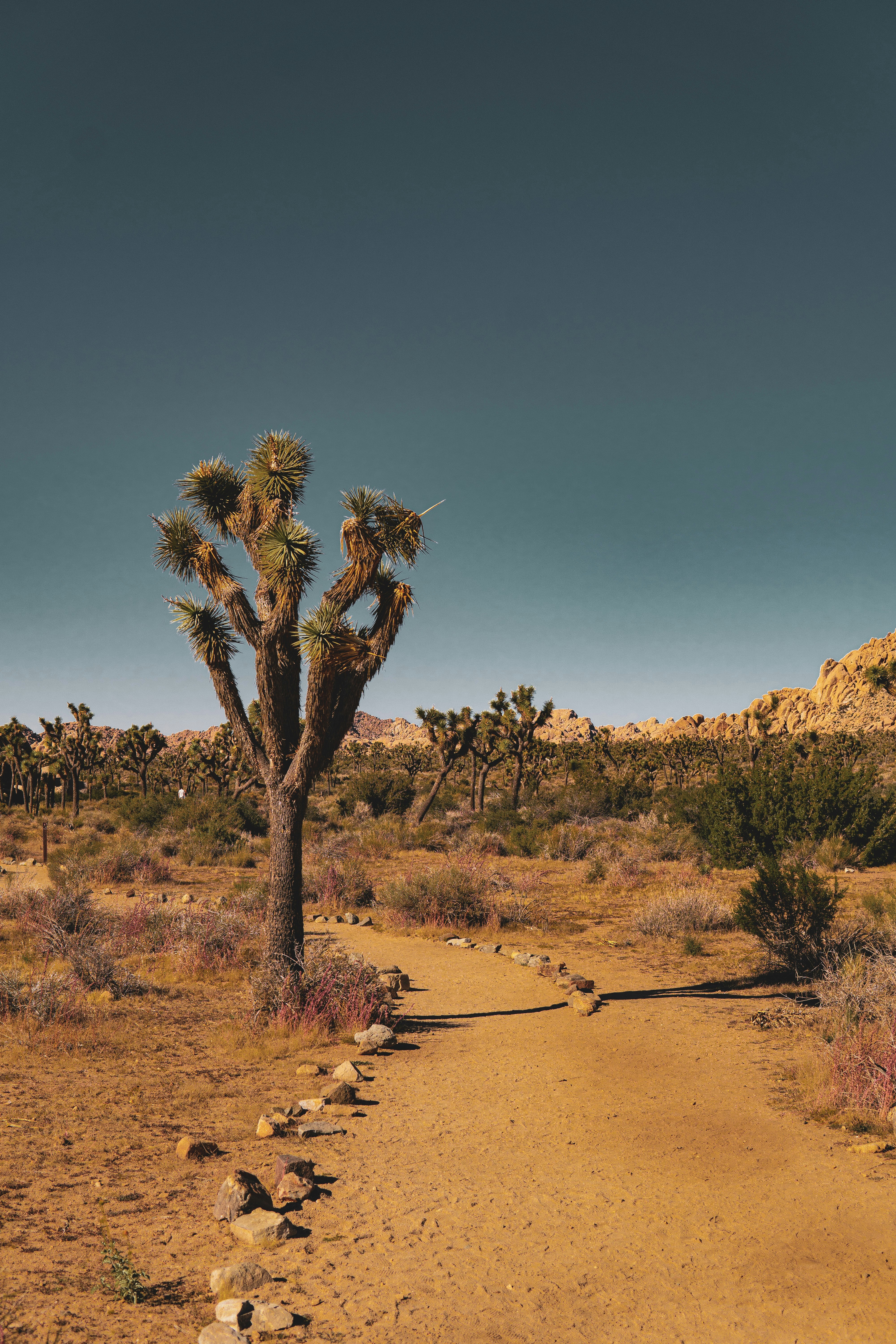 Photo by keepitchassephotography