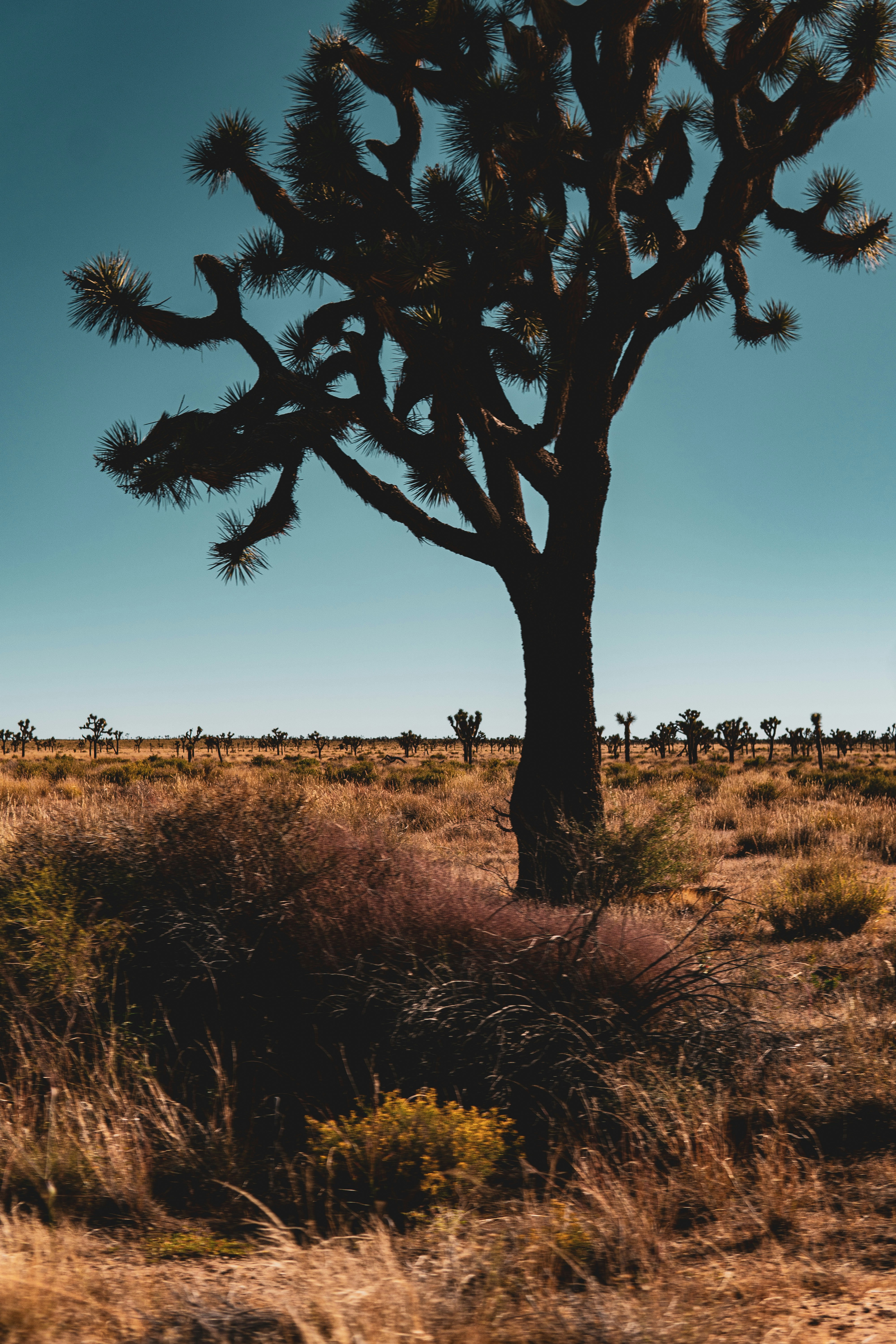 Photo by keepitchassephotography