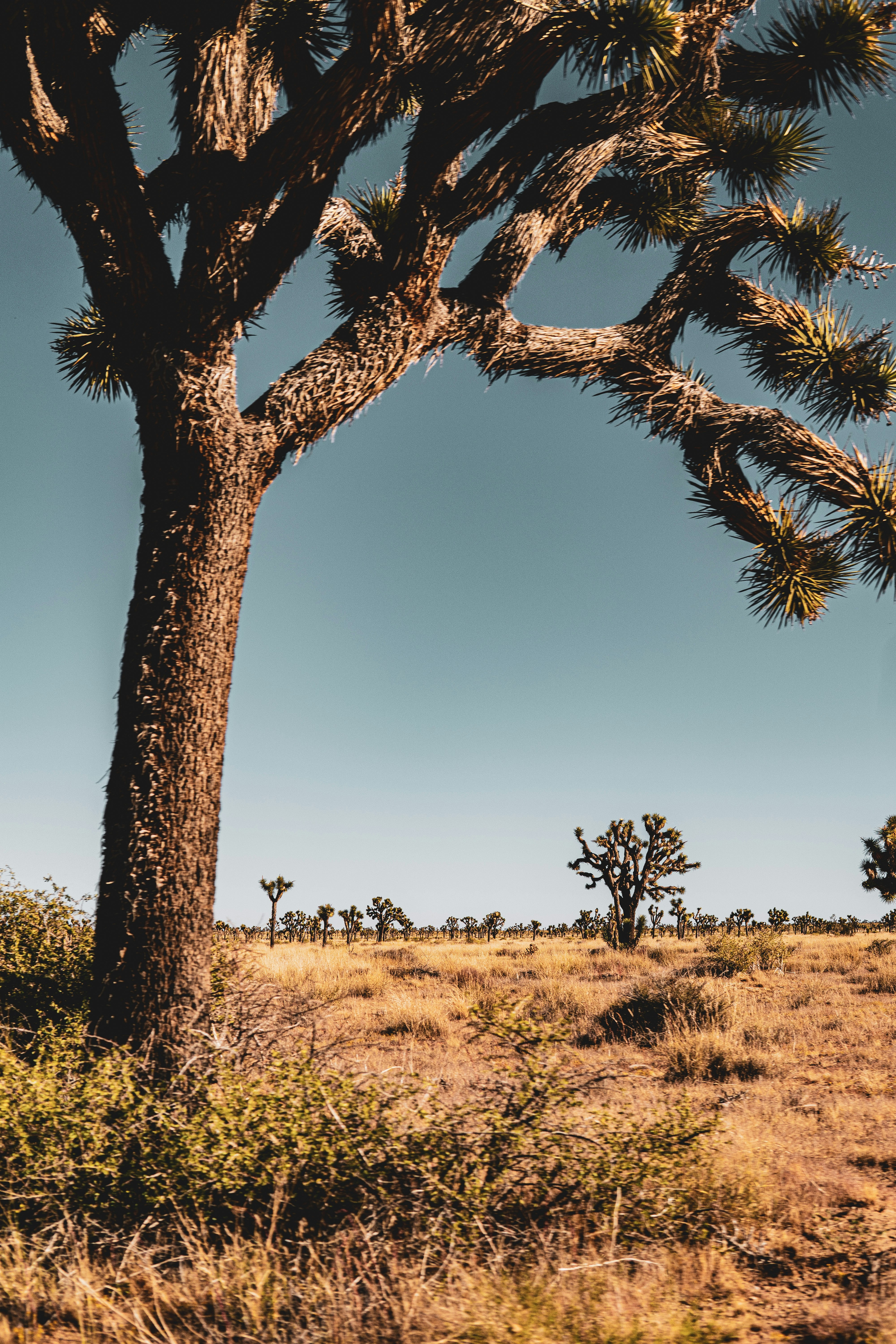 Photo by keepitchassephotography