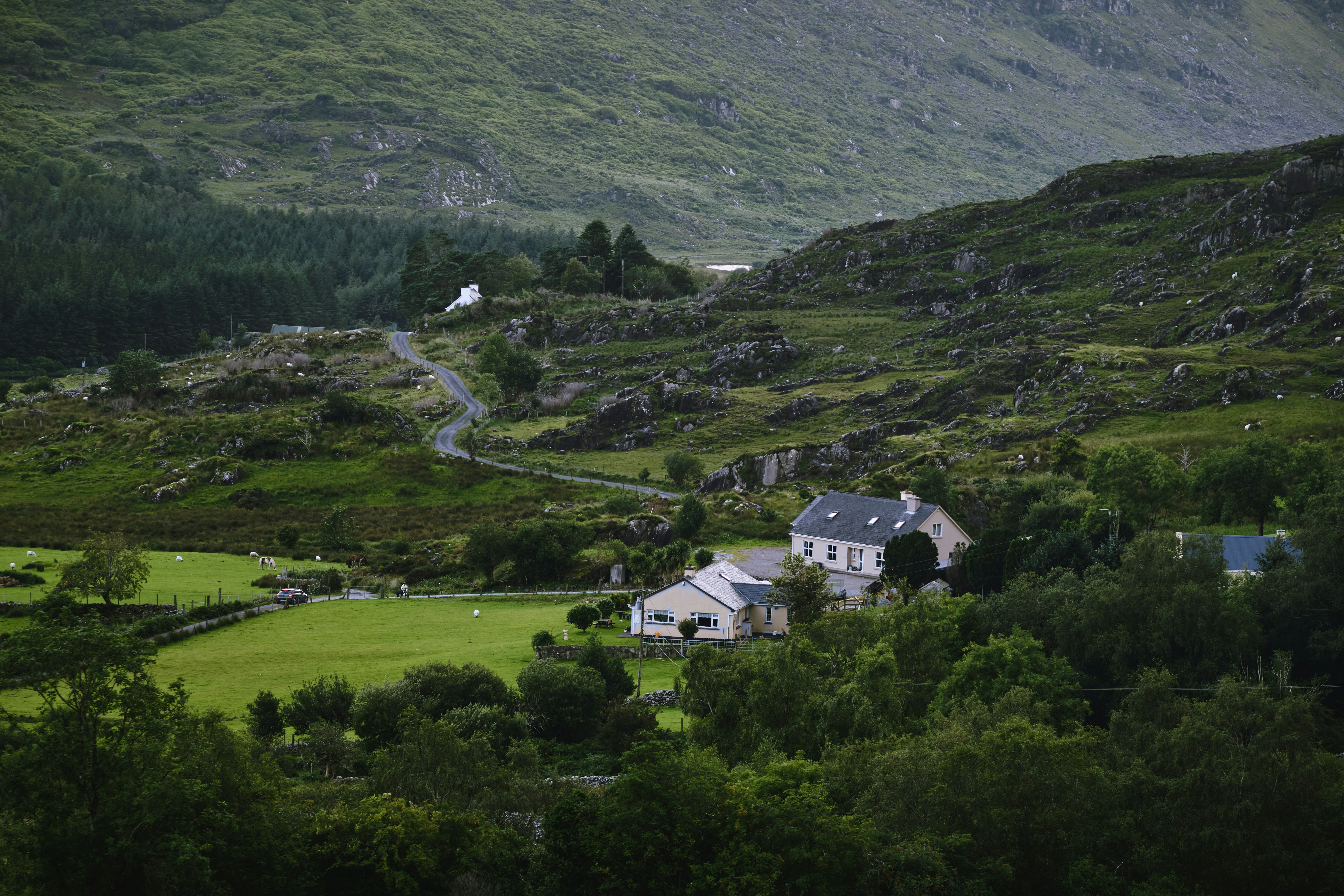 a house in the middle of a lush green valley