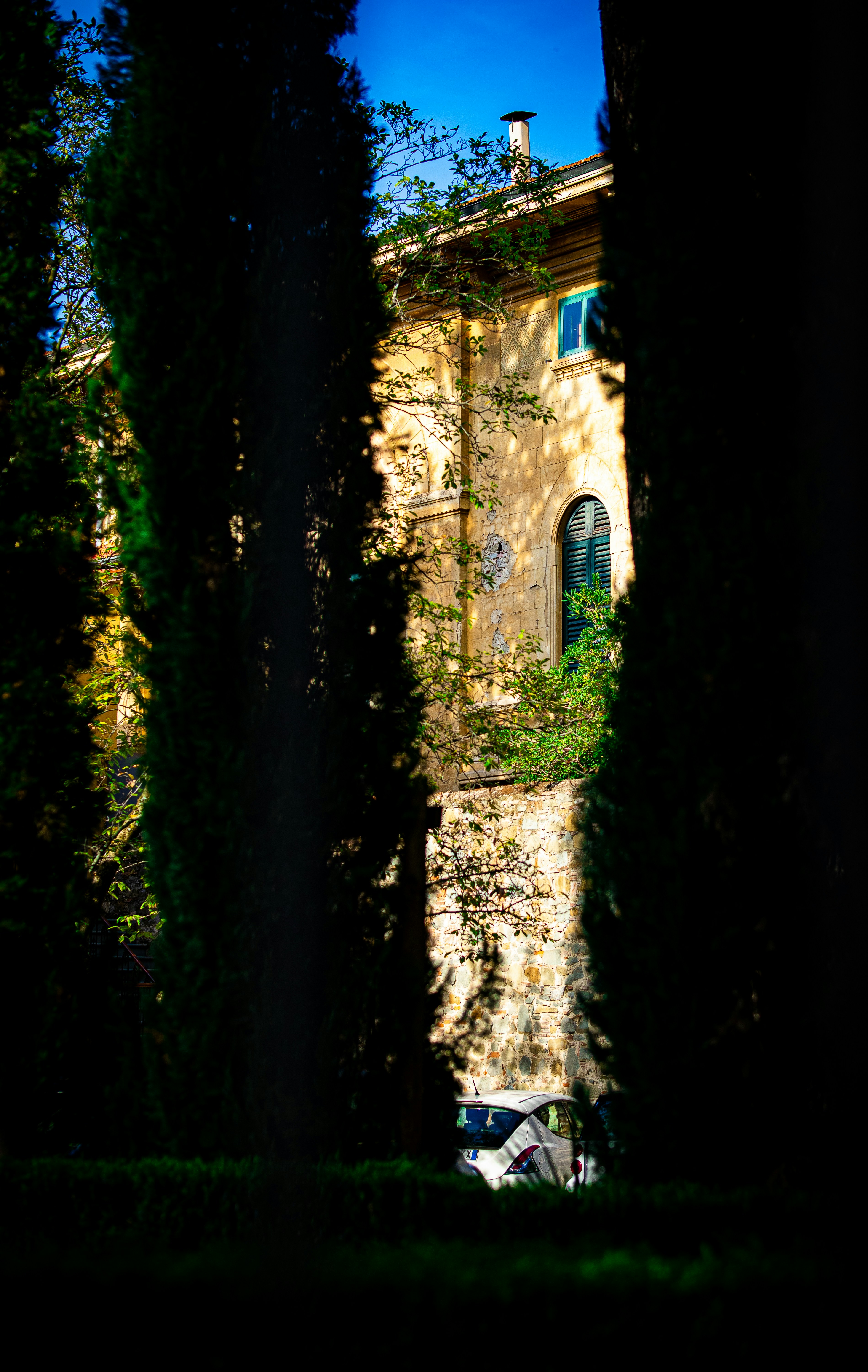 Photo by jacekjaniczak