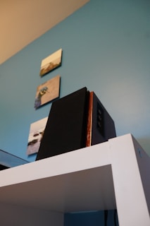 A speaker with a black front and wooden sides sits atop a white shelf against a light blue wall. Above the shelf, three small, square pictures are mounted on the wall, displaying various nature scenes.
