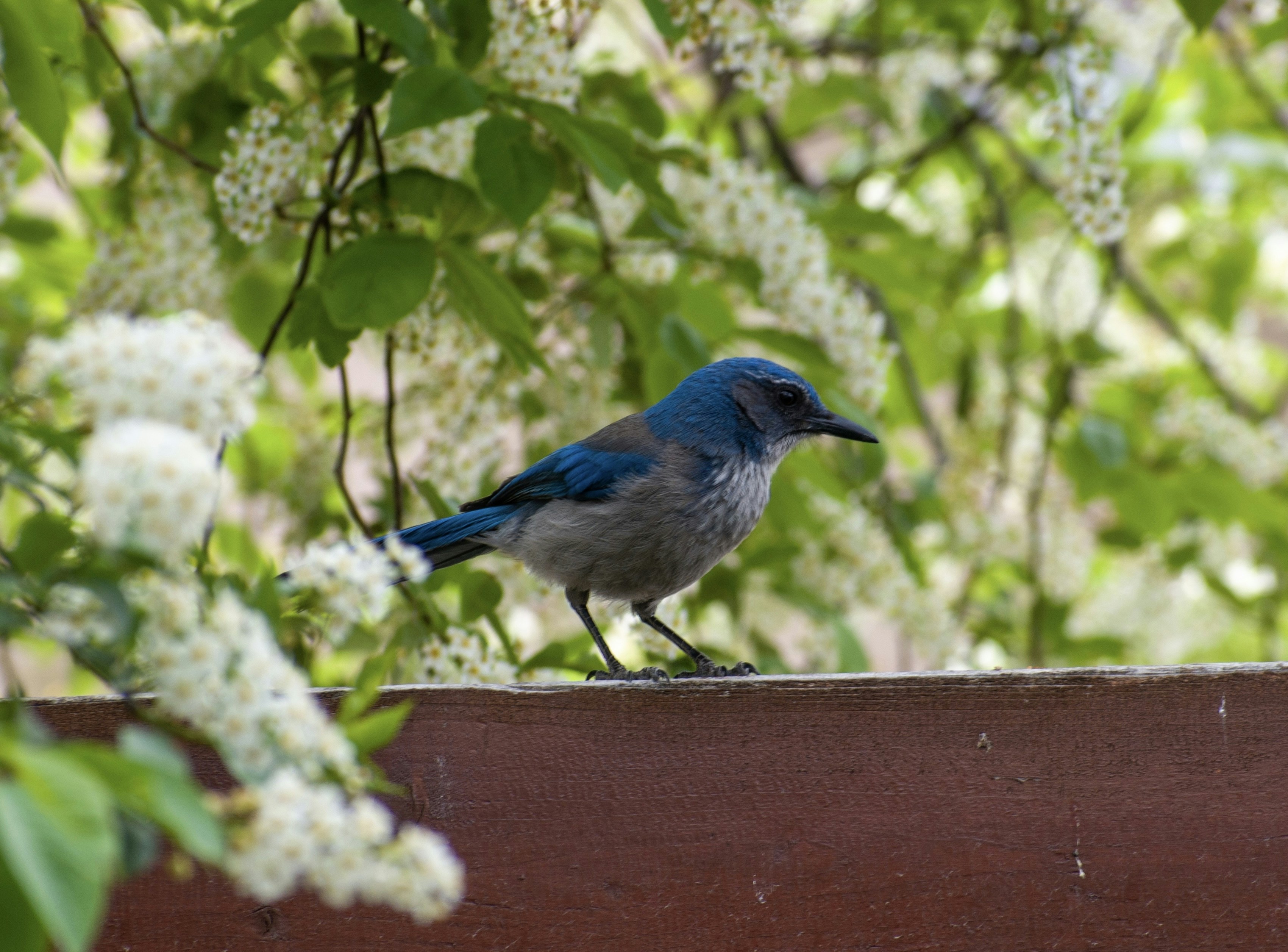 Photo by judd_nichols