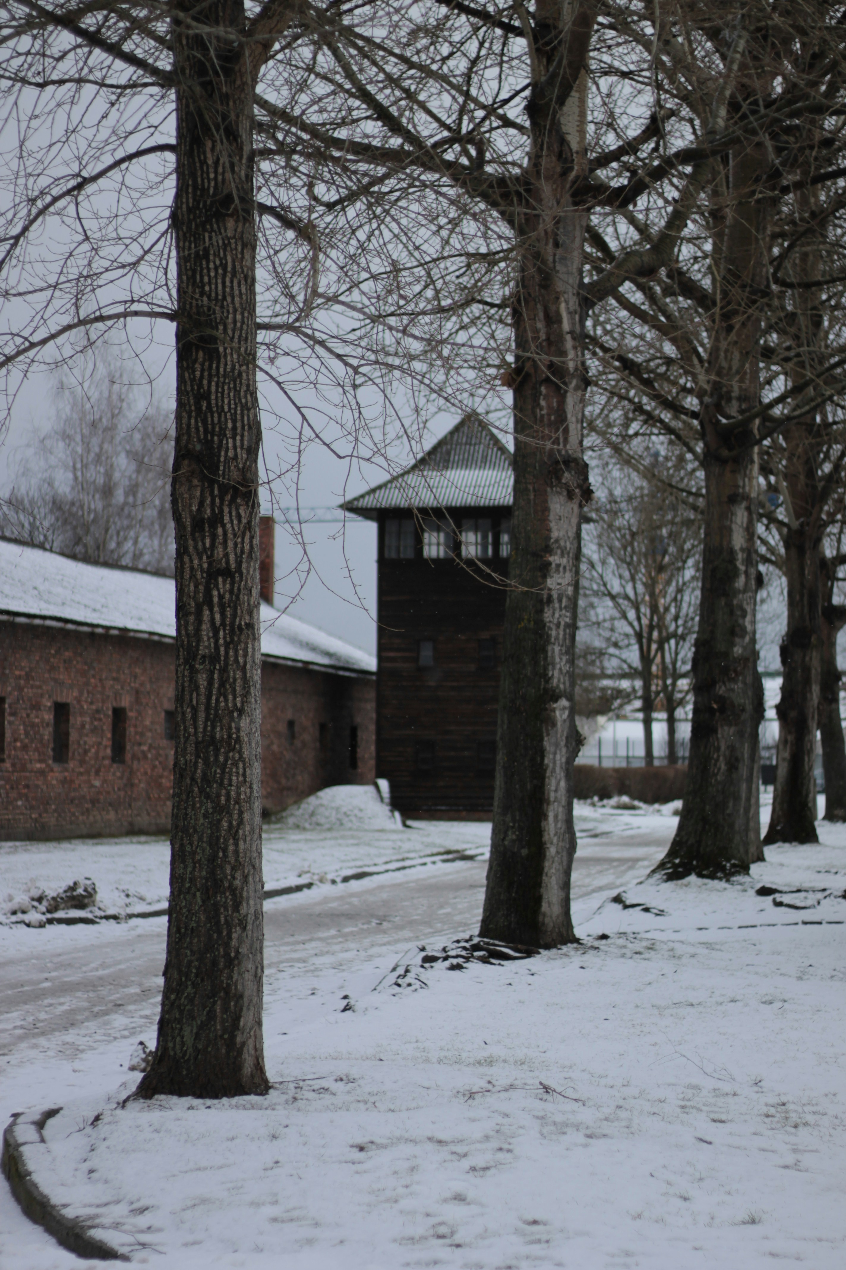 Photo by chris_miskevych