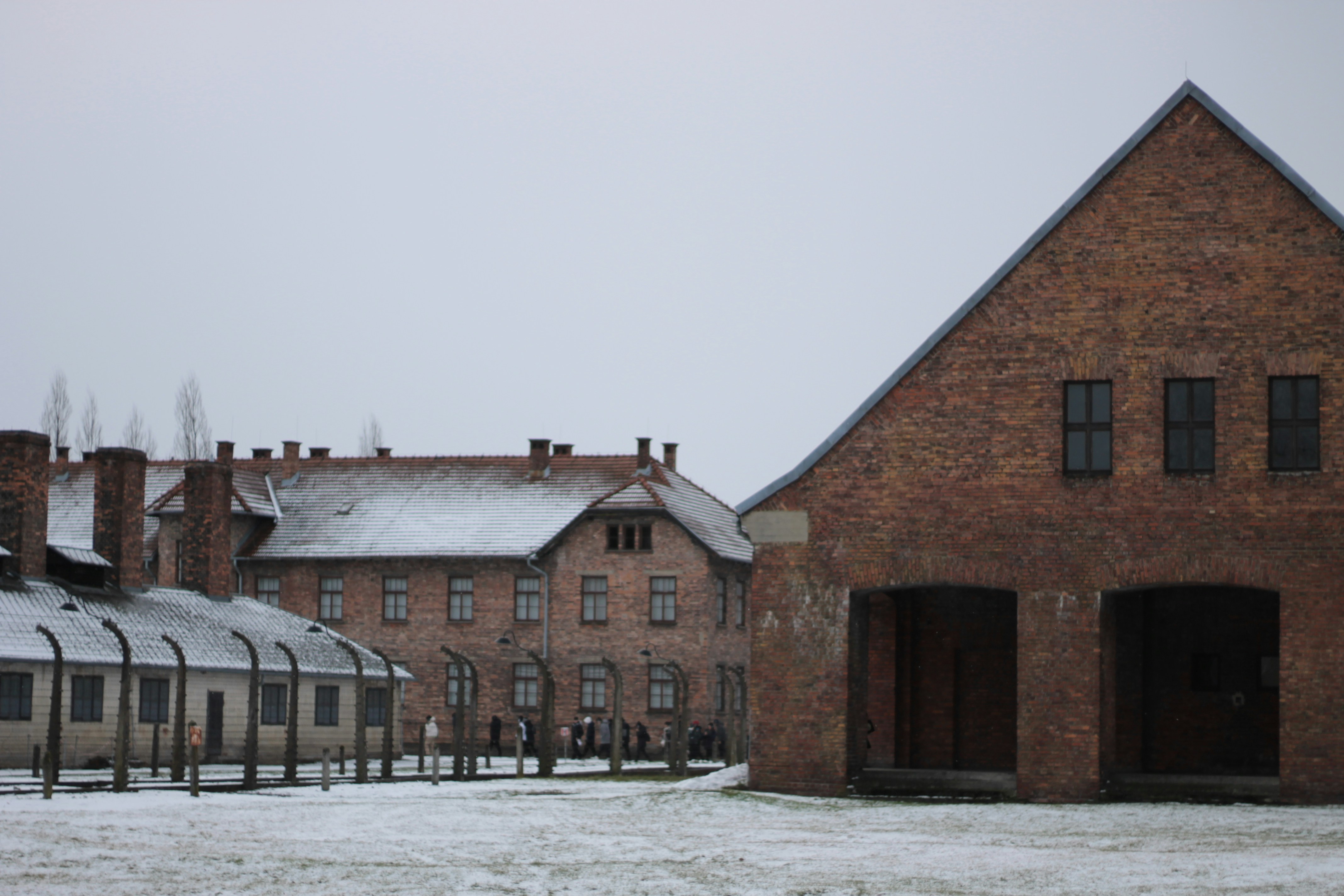 Photo by chris_miskevych