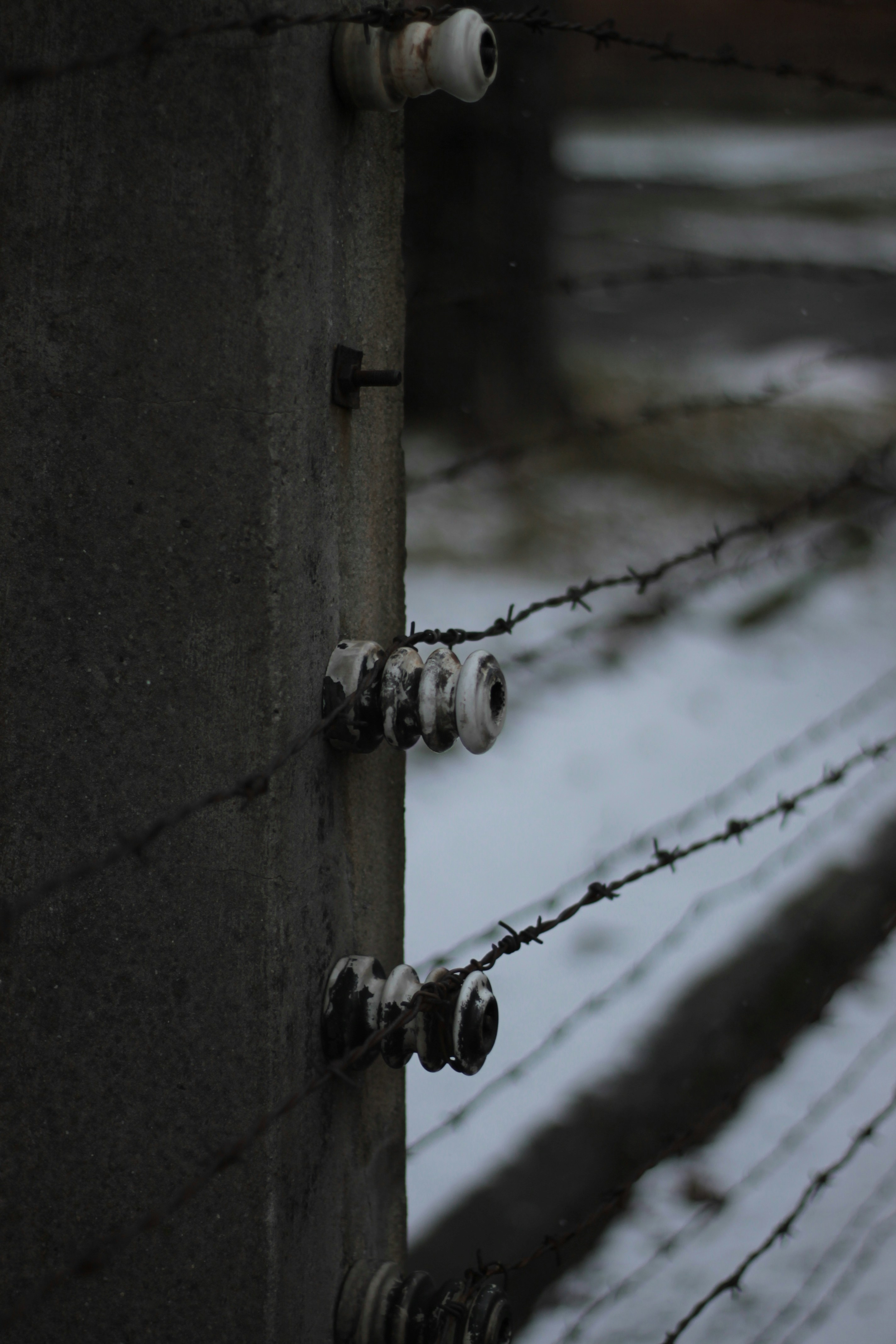 Photo by chris_miskevych