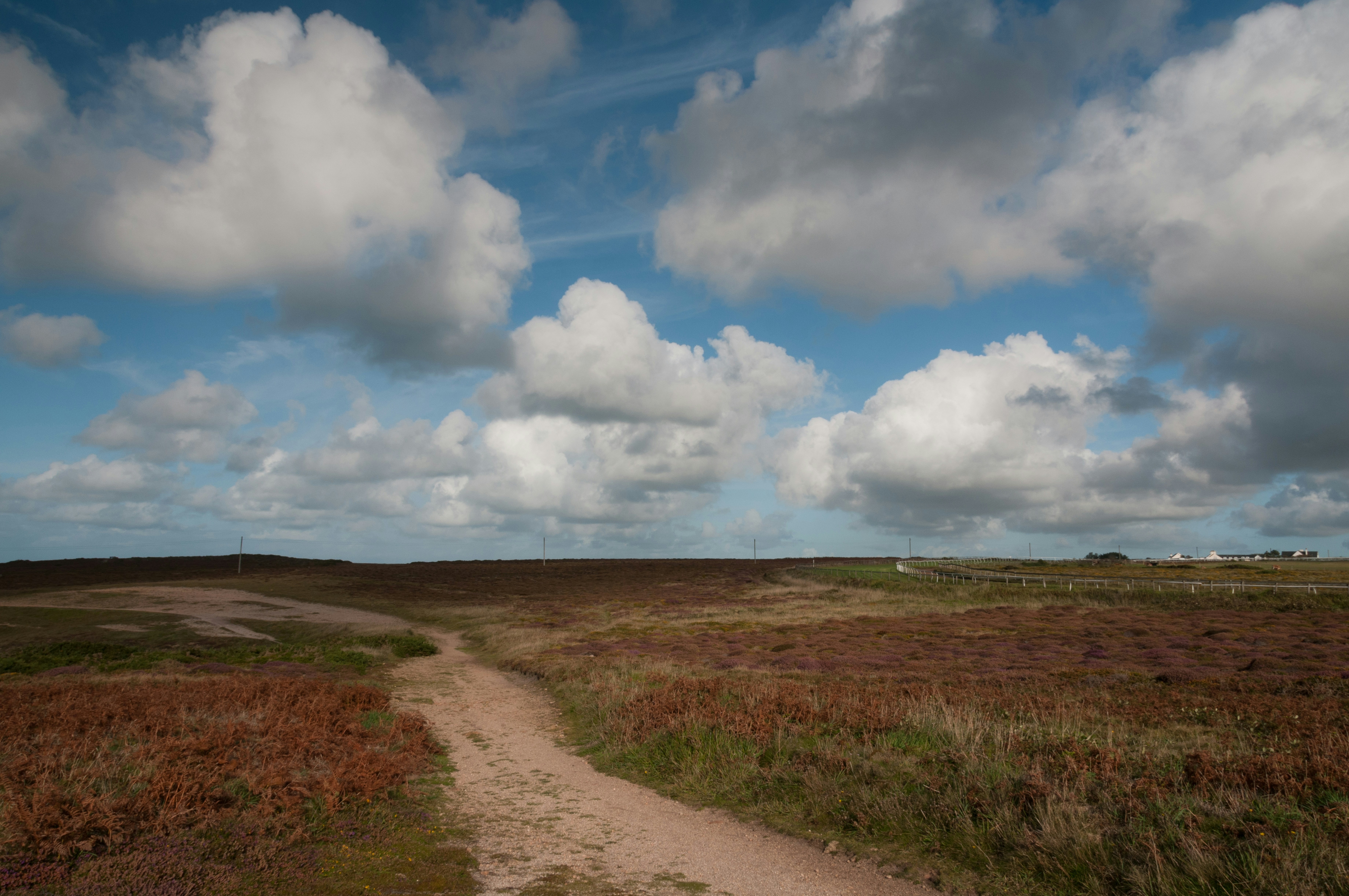 Photo by jersey_photos