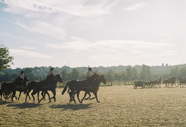 A warm scene of children and adults happily riding horses together in a sunny paddock.
