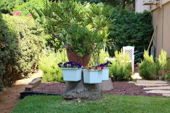 A lush garden scene with a small tree growing from a cut stump surrounded by vibrant white and purple flowers in pots. The garden is well-maintained, featuring green grass and paved stone paths. Hedges and a few larger shrubs create a natural border, while a white chair and other garden furniture are partially visible in the background.