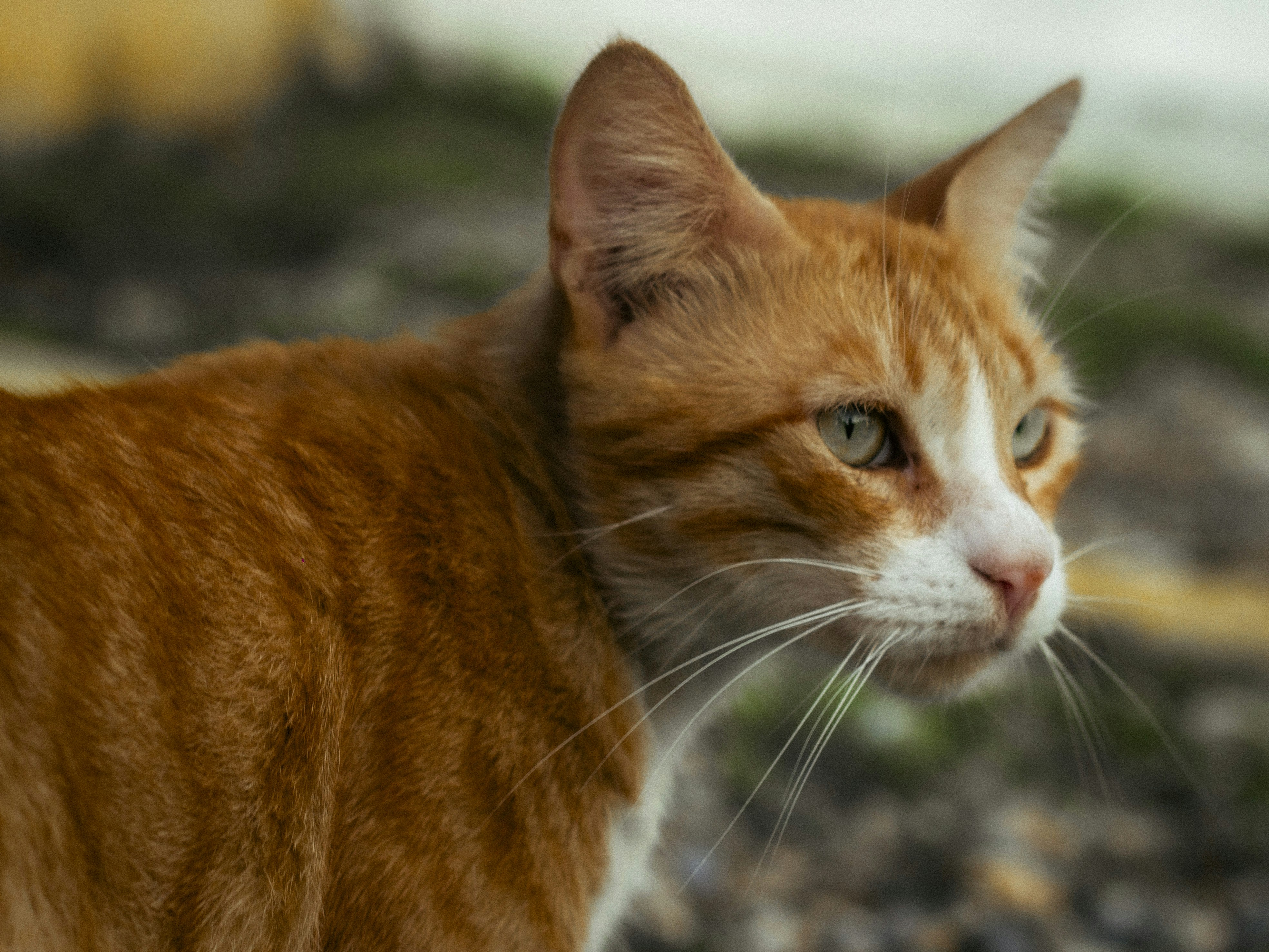 Photo by martinrincon