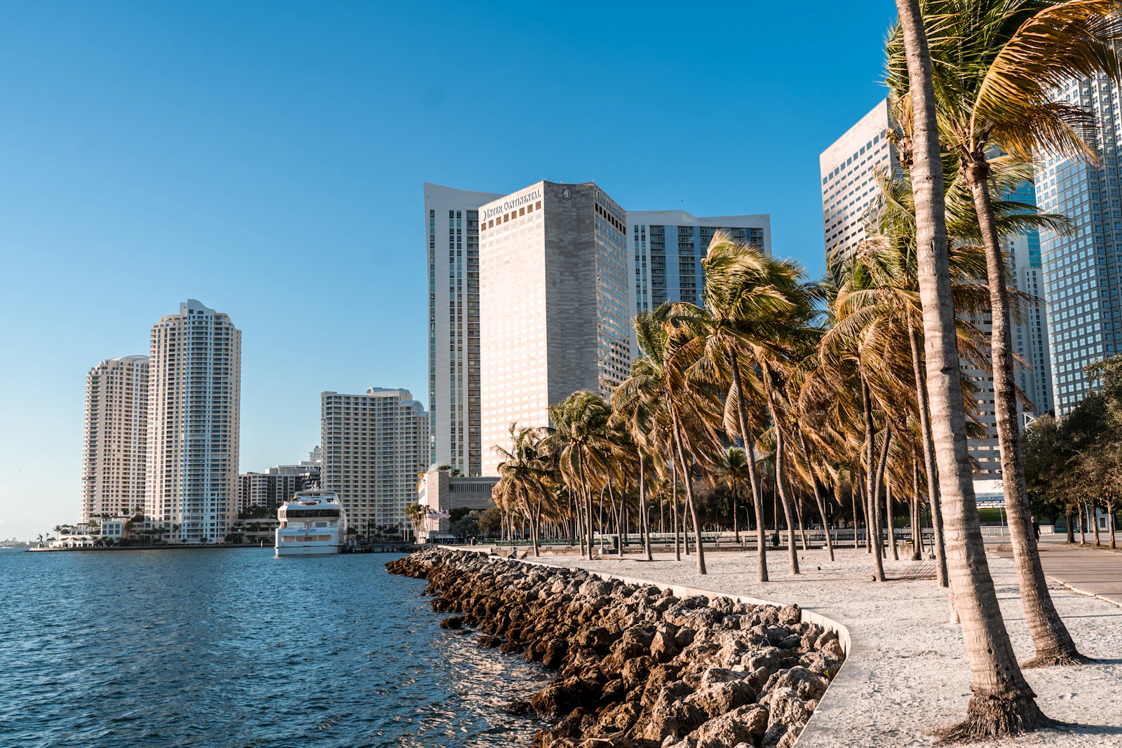 Miami waterfront, palm trees and skyline