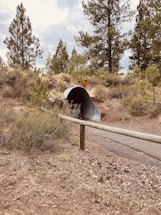 A large corrugated metal pipe embedded into the ground serves as a tunnel under a dirt path. Tall pine trees and brush surround the area, giving it a natural, forest-like environment. A wooden rail runs along the path, and a yellow caution sign is visible above the tunnel entrance.