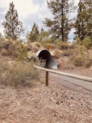 A large corrugated metal pipe embedded into the ground serves as a tunnel under a dirt path. Tall pine trees and brush surround the area, giving it a natural, forest-like environment. A wooden rail runs along the path, and a yellow caution sign is visible above the tunnel entrance.