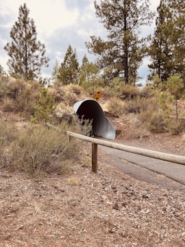 A large corrugated metal pipe embedded into the ground serves as a tunnel under a dirt path. Tall pine trees and brush surround the area, giving it a natural, forest-like environment. A wooden rail runs along the path, and a yellow caution sign is visible above the tunnel entrance.