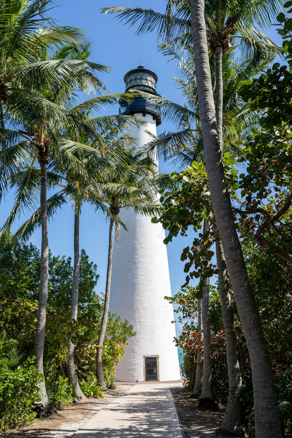 a white light house surrounded by palm trees