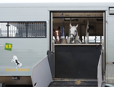 A horse trailer with the side door open, revealing two horses inside. One horse is brown with a white blaze, while the other is white. They are secured with harnesses and surrounded by the clean interior of the trailer. There is hay on the ground, indicative of care for the animals in transit.