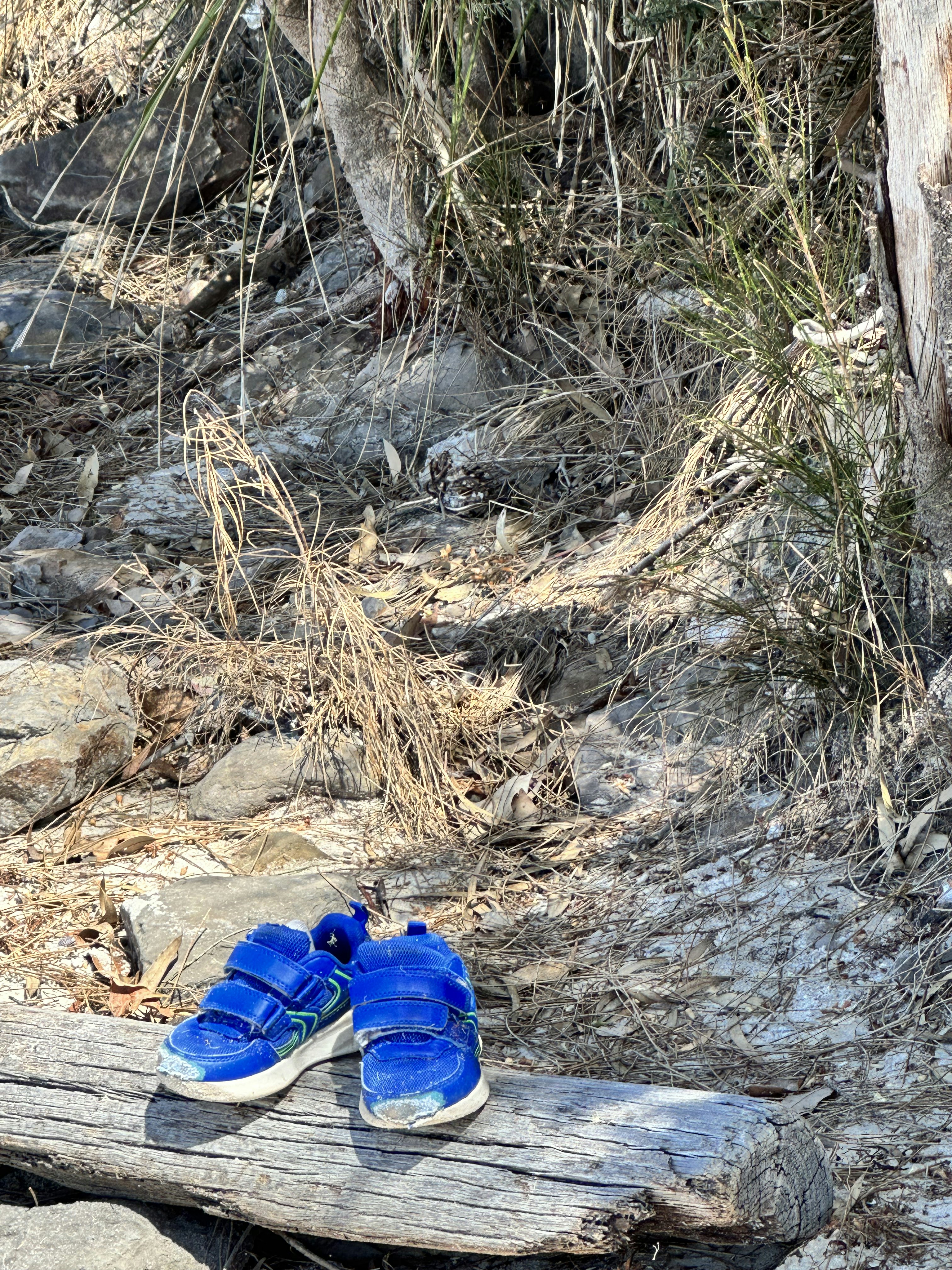 Speedster Kids Sneakers