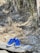 A pair of bright blue children's shoes with Velcro straps are resting on a large, weathered log. The surrounding environment is a natural setting with dry grass, rocks, and scattered leaves, giving an impression of an outdoor or woodland area. The scene is dominated by earthy tones and appears serene yet slightly rugged.