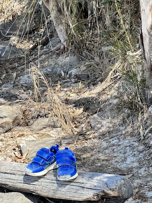 A pair of bright blue children's shoes with Velcro straps are resting on a large, weathered log. The surrounding environment is a natural setting with dry grass, rocks, and scattered leaves, giving an impression of an outdoor or woodland area. The scene is dominated by earthy tones and appears serene yet slightly rugged.