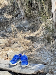 A pair of bright blue children's shoes with Velcro straps are resting on a large, weathered log. The surrounding environment is a natural setting with dry grass, rocks, and scattered leaves, giving an impression of an outdoor or woodland area. The scene is dominated by earthy tones and appears serene yet slightly rugged.