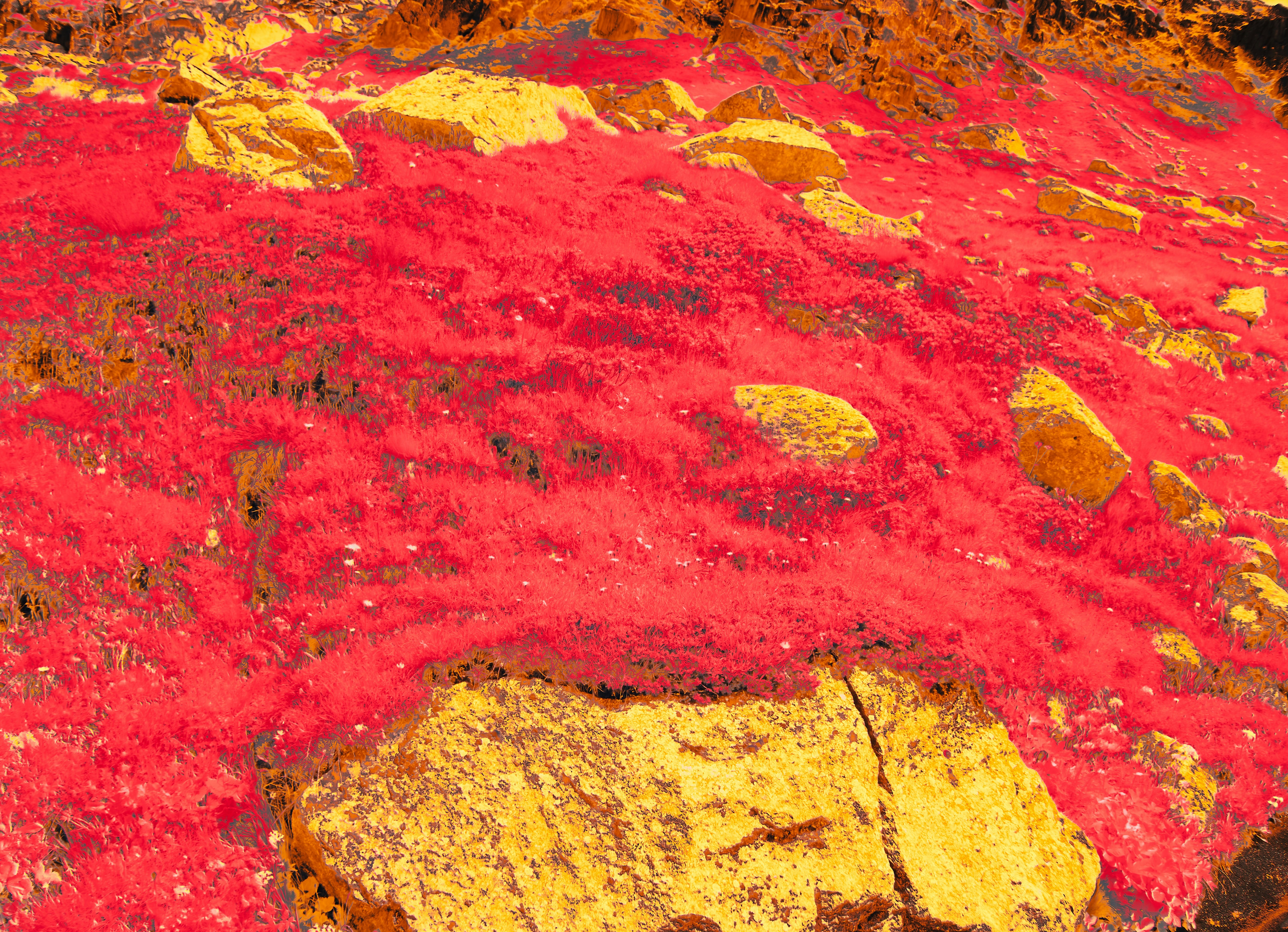 Photo by wolfgang_hasselmann