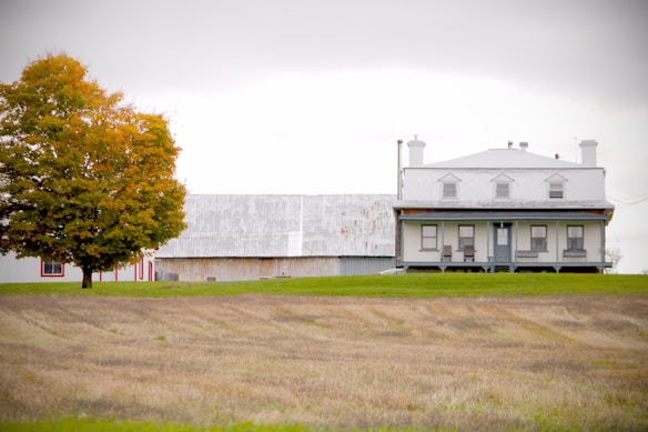 A two-story farmhouse with a white facade and a large front porch sits on a verdant lawn. Next to it, a tree with autumn foliage adds vibrant color to the scene. In the background, a weathered barn with a metal roof complements the rural setting. The sky is overcast, casting a soft light over the landscape.