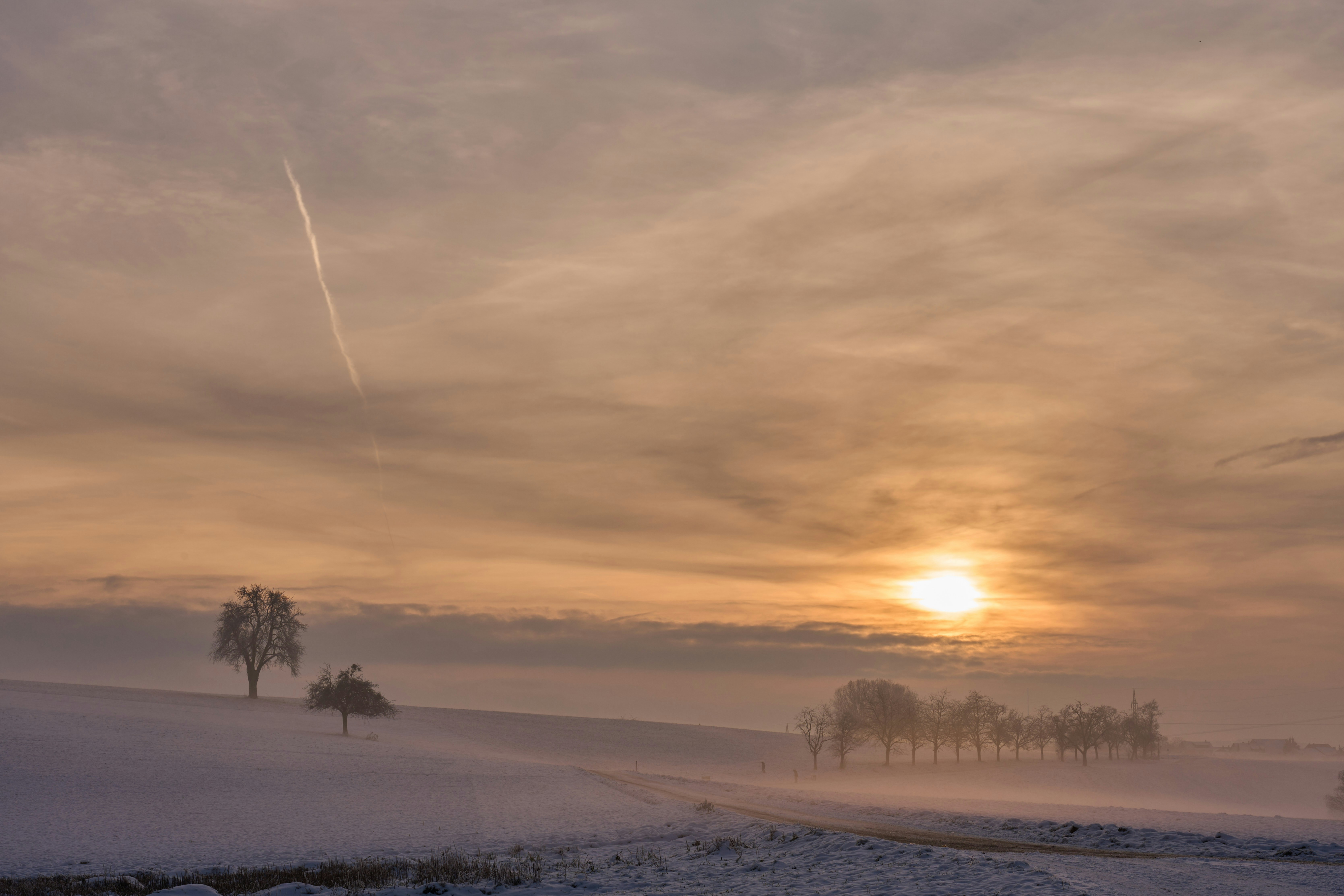 Photo by wolfgang_hasselmann