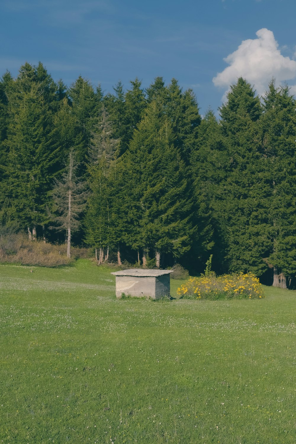 a bench sitting in the middle of a lush green field