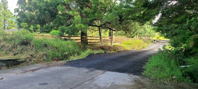 Close-up of plot boundary with greenery and paved road access.