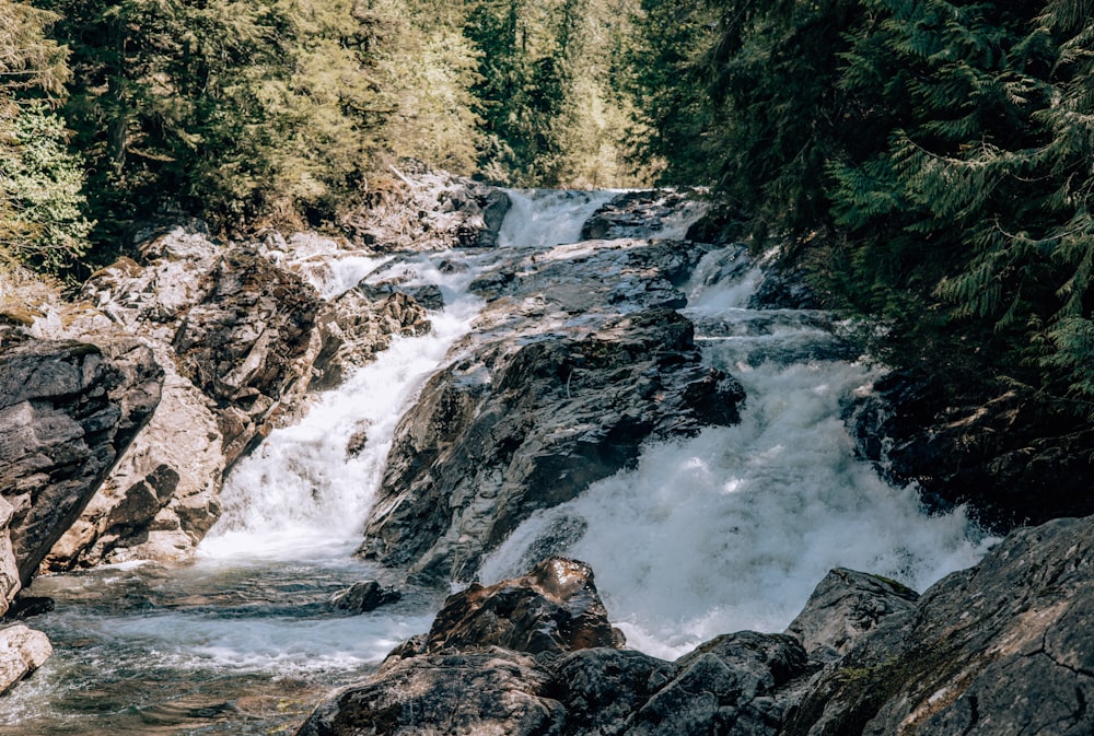 a small waterfall in the middle of a forest