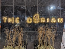 The image features a dark marble wall with illuminated letters spelling 'THE DORIAN.' A decorative logo with a butterfly motif is incorporated into one of the letters. In front of the wall, there are artistic, curly branches placed along the bottom, adding a natural element.
