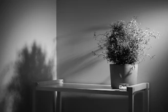 Artistic shot of a single metallic planter casting shadows on a minimalist concrete floor.