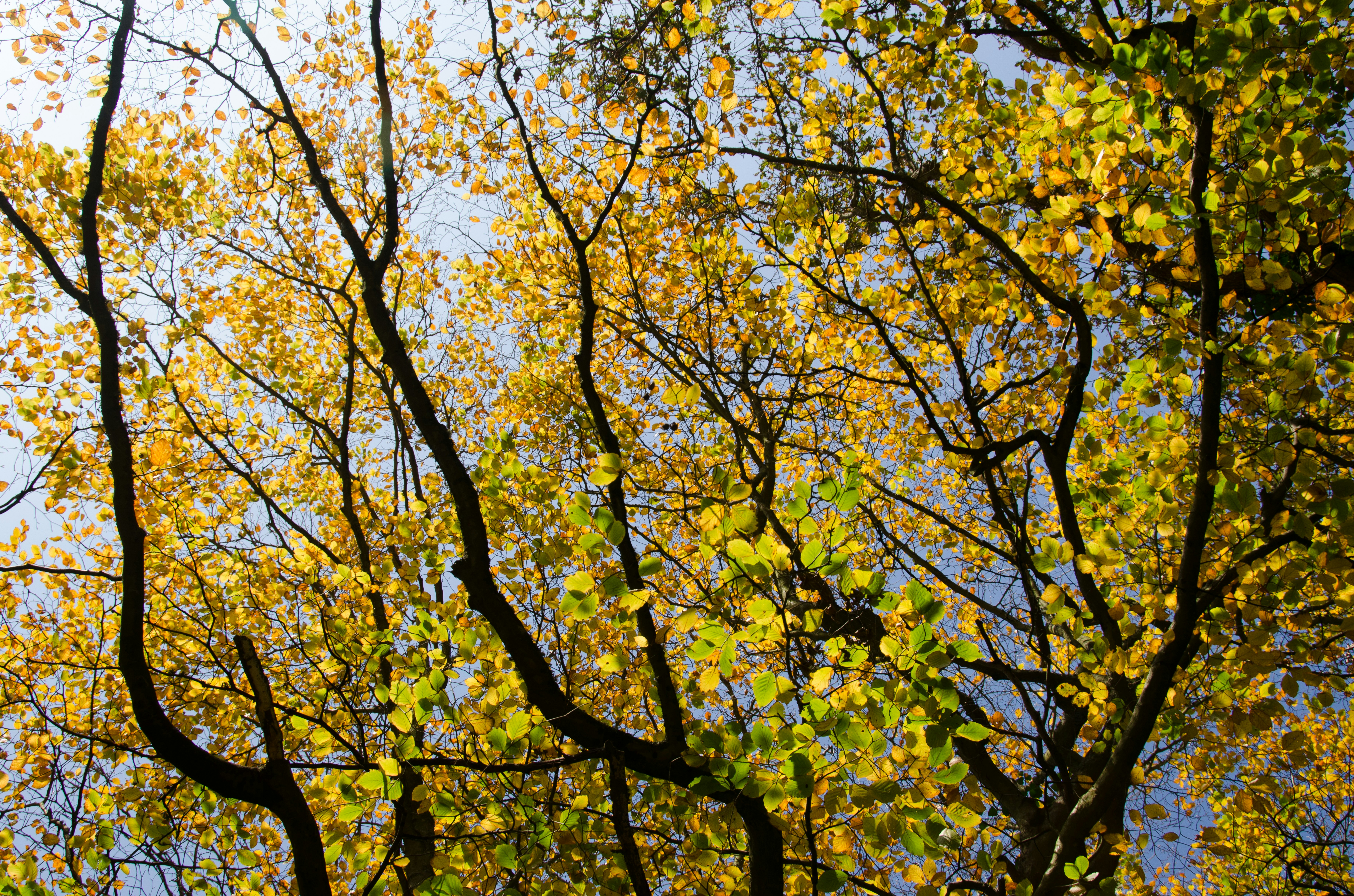 Photo by jersey_photos