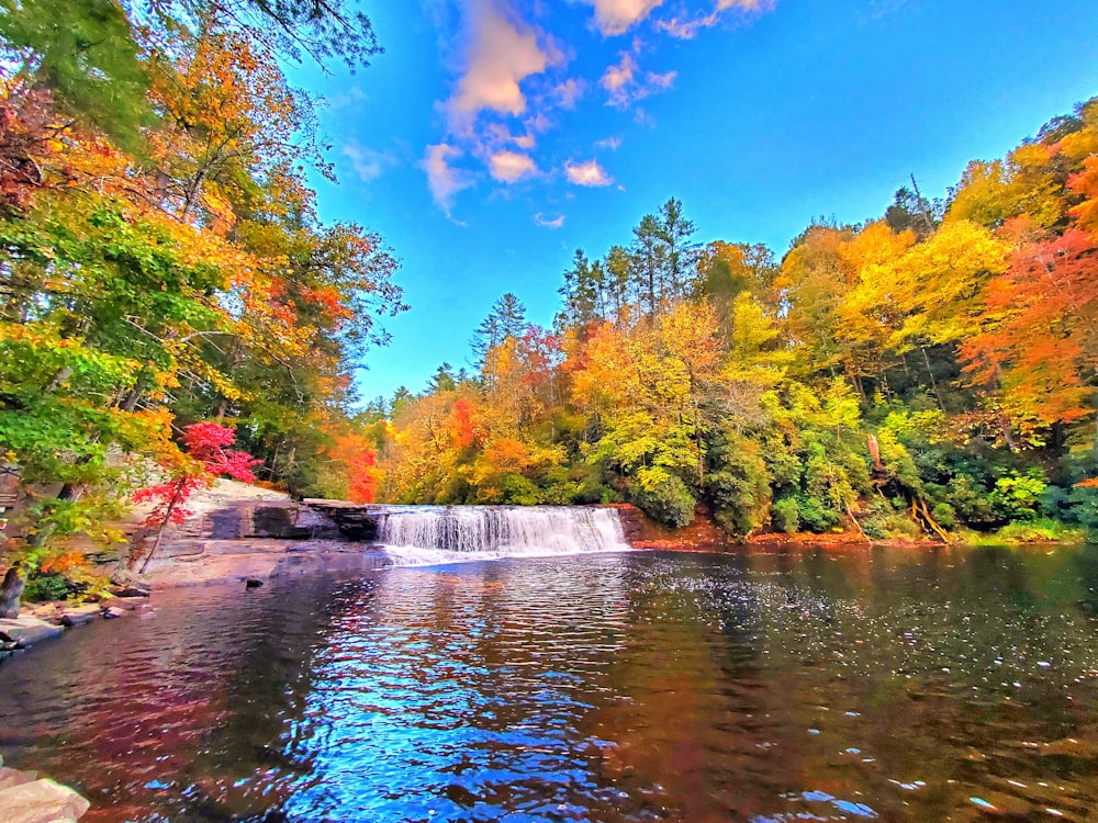 a river with a waterfall surrounded by trees