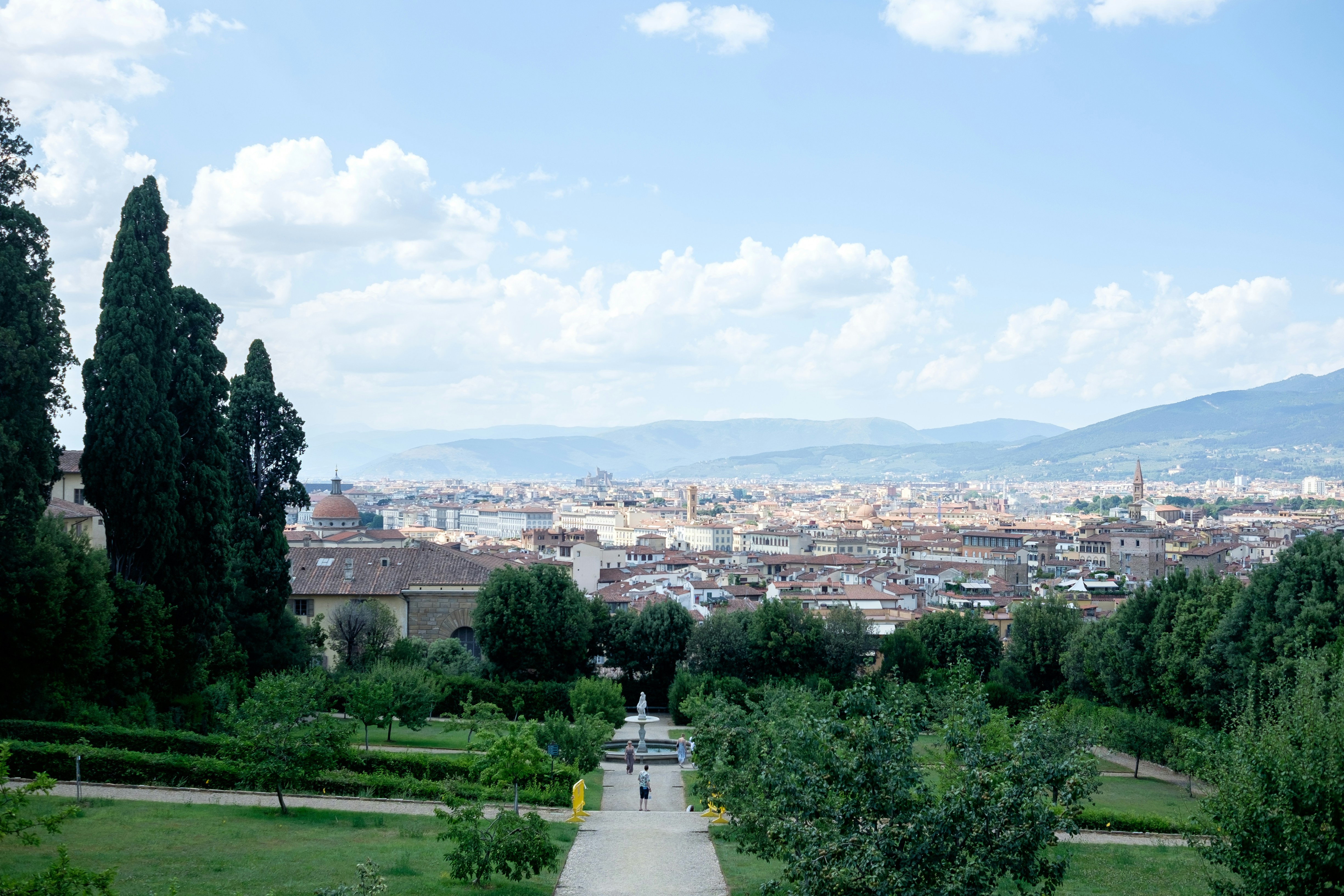 Image by Mayumi Maciel via Unsplash