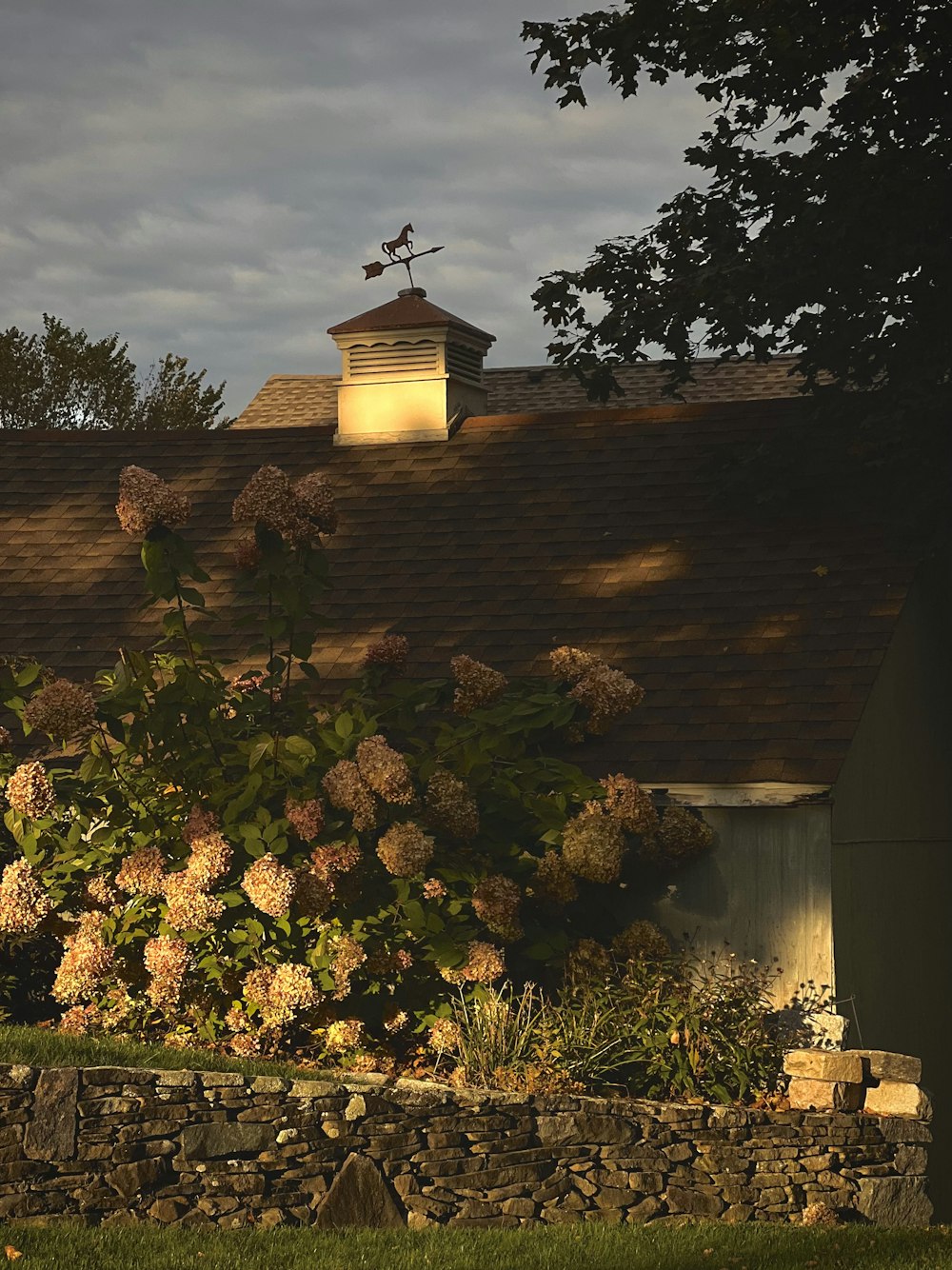 a house with a steeple and flowers in front of it