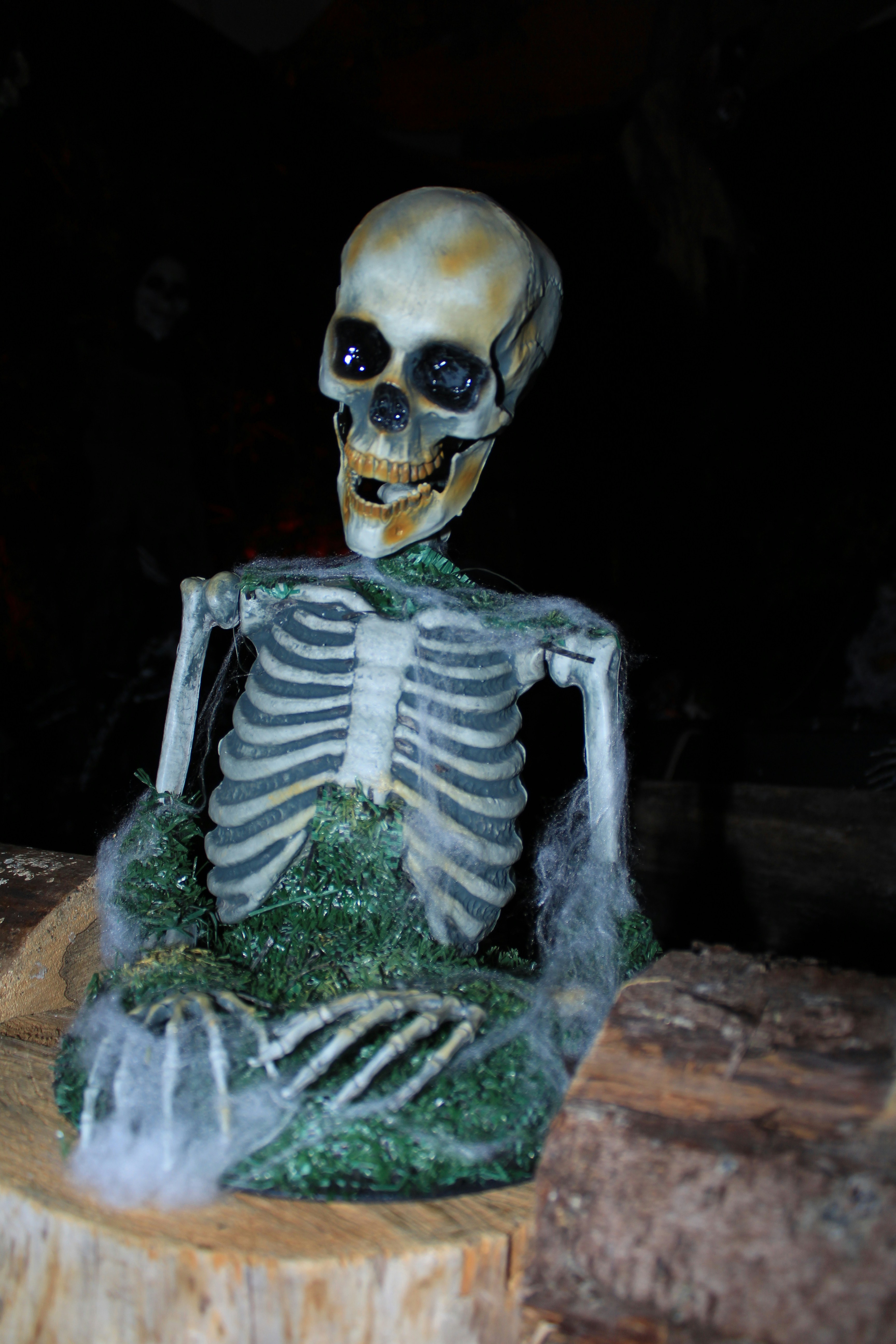 Photo by anna_zhynhel