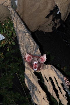 A menacing creature with large, pointed ears and sharp fangs is suspended in the air. It is draped in tattered burlap material and surrounded by dark foliage, creating a spooky atmosphere.