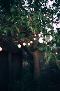 Warm LED outdoor string lights glowing above a cozy backyard seating area at dusk