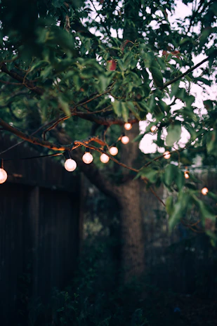 A cozy backyard illuminated by warm solar garden lights hanging from tree branches at dusk.