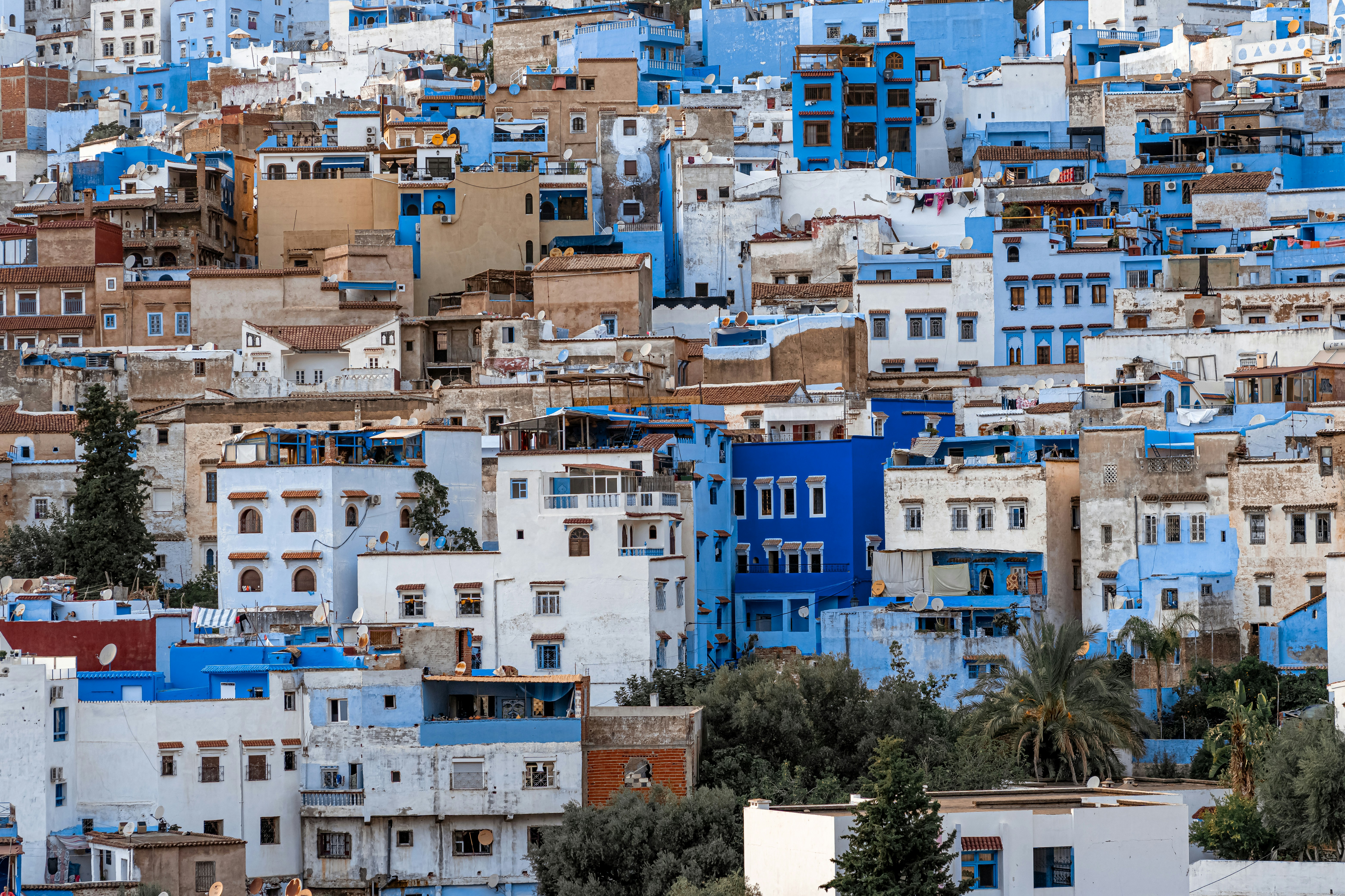 The Benefits of Urban Farming in Moroccan Schools and Communities