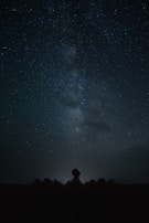 A silhouette of a person looking up at a clear night sky filled with stars and the Milky Way galaxy prominently visible. The landscape is dark, with trees outlining the horizon.