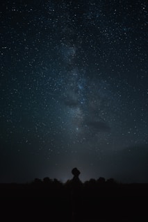 A silhouette of a person looking up at a clear night sky filled with stars and the Milky Way galaxy prominently visible. The landscape is dark, with trees outlining the horizon.