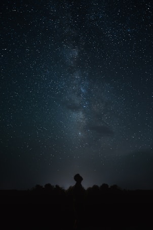 A silhouette of a person looking up at a clear night sky filled with stars and the Milky Way galaxy prominently visible. The landscape is dark, with trees outlining the horizon.